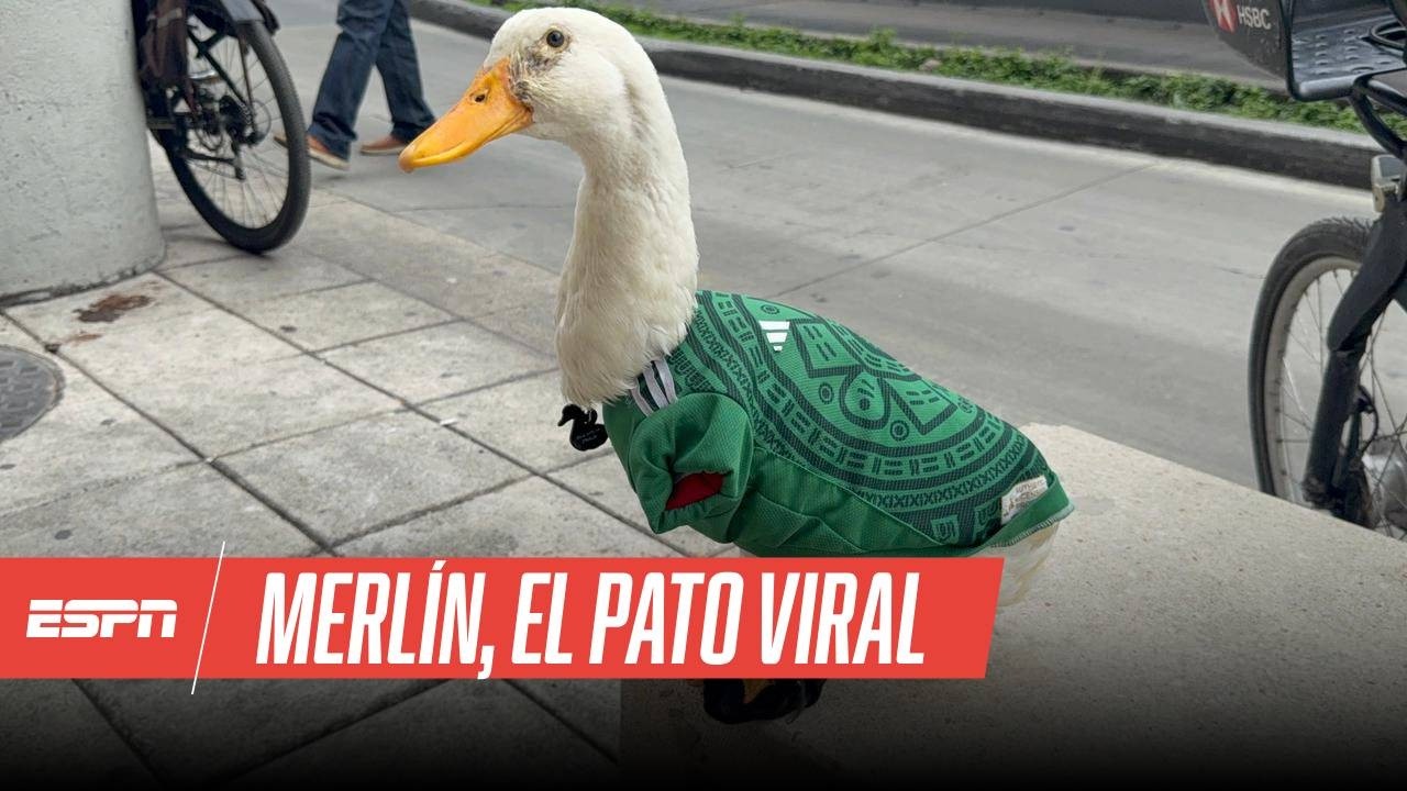 pato 04.jpg